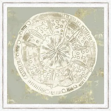 Vintage Sand Dollar III Wall Art