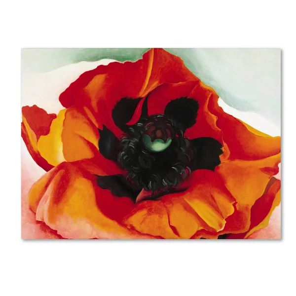 Georgia O&Keefe &Poppy& Canvas Art - 35x47