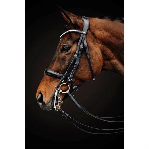 Schockem鰄le Bridle Equitus Gamma