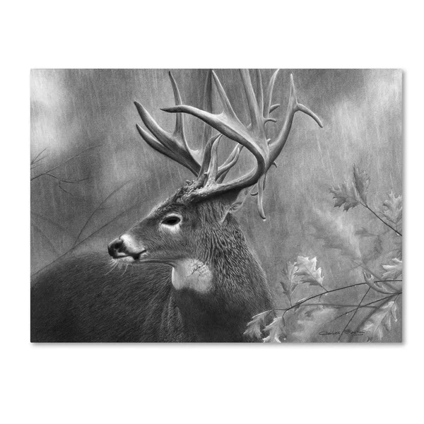 Trademark Art Chuck Black 'Rainy Days' Gallery-Wrapped Canvas Art
