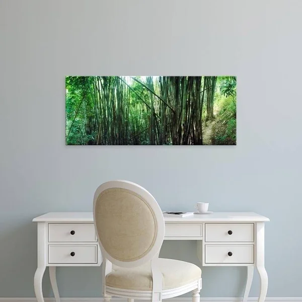 Easy Art Prints Panoramic Images's 'Bamboo Forest, Chiang Mai, Thailand' Premium Canvas Art - 14 x 35 - Stretched Canvas