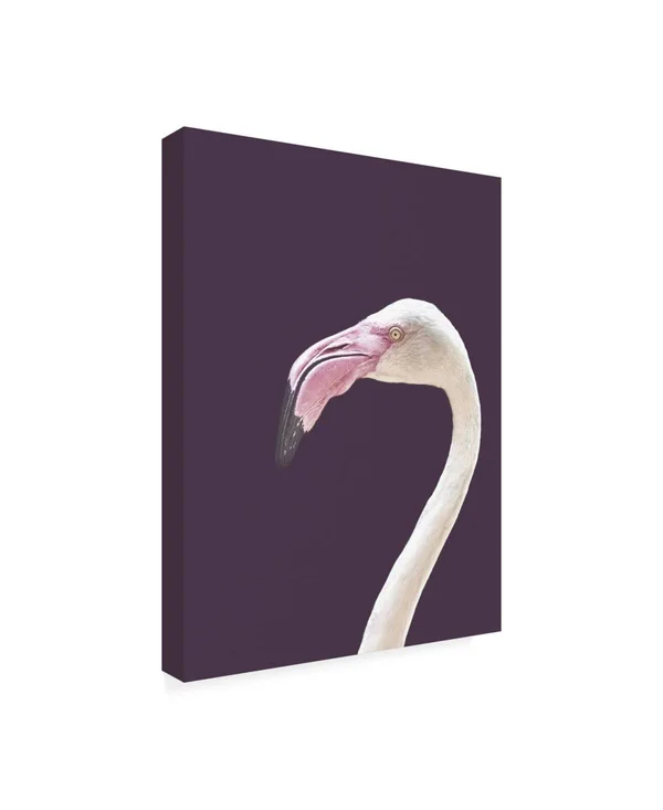 Trademark Fine Art Ic01451-C3547Gg Design Fabrikken 'The Flamingo Fabr