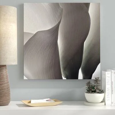 Ebern Designs 'White Callas III' Photographic Print on Wrapped Canvas