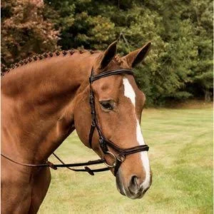 Rambo Micklem Deluxe Competition Bridle