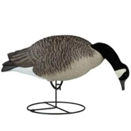 Dakota Decoy Signature Series Feeder Geese 6-Pack