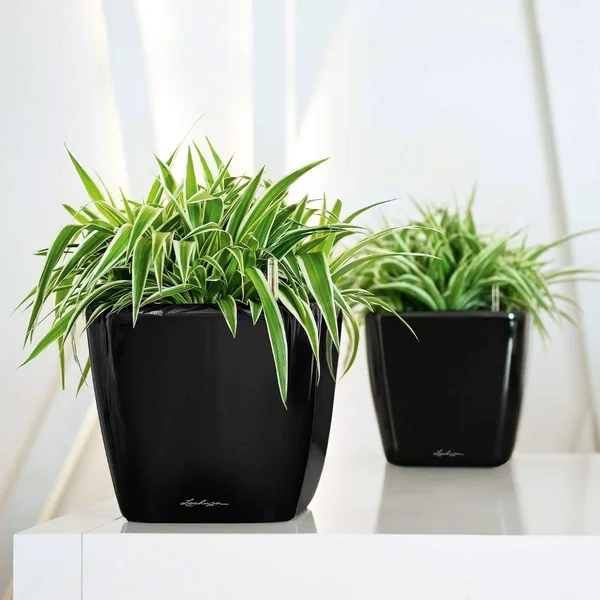Lechuza Quadro LS Premium Planter Small High Gloss Taupe