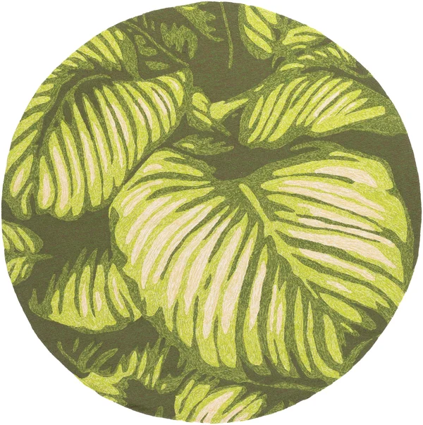 5& x 8& Surya Rain RAI-1264 Area Rug