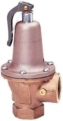 Watts 0382821 1-Inch x 1-1/4-Inch Boiler Pressure Relief Valve (75 PSI)