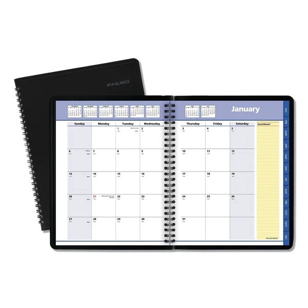 At-a-glance QuickNotes Monthly Planner