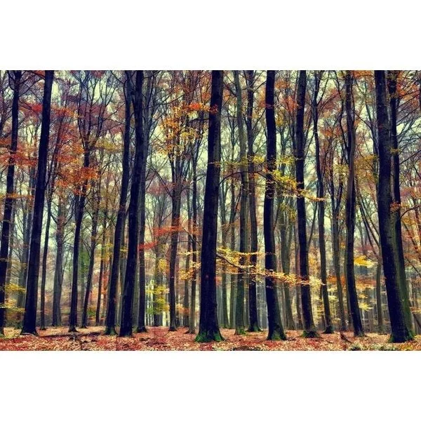 Easy Art Prints Lars Van De Goor's 'Nature's Palette' Premium Canvas Art - 24 x 36 - Brazilian Barnwood Frame
