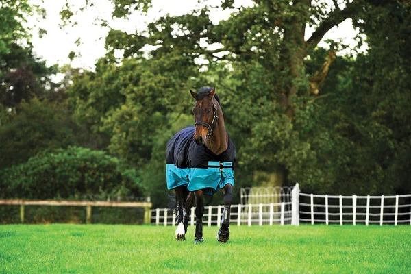 Mio Lite Turnout Sheet