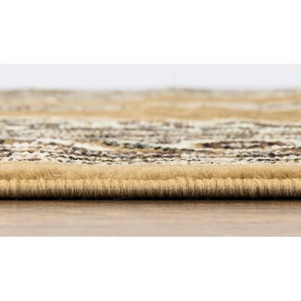 Princess Collection Oriental Medallion Area Rug, 5& 2x22 x 7& 2