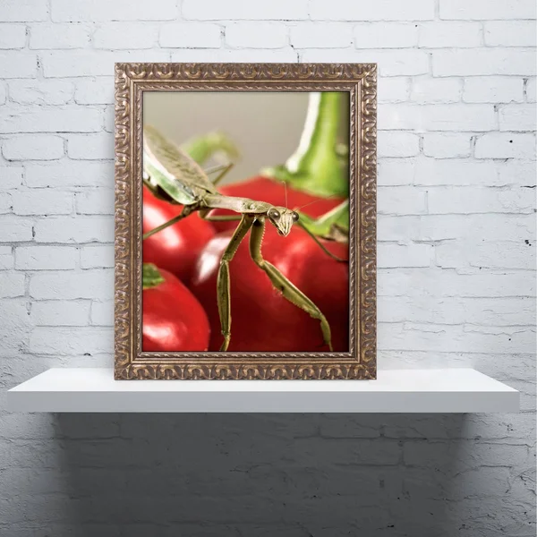 Trademark Fine Art Praying Mantis & Pepper 2 inch Canvas Art by Jason Shaffer - Gold Ornate Frame, Size: 16 x 20