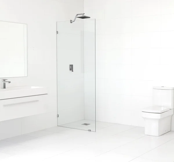 Glass Warehouse GW-SFP-22.5-BN 22.5x22 x 78x22 Frameless Fixed Glass Panel Finish: Brushed Nickel