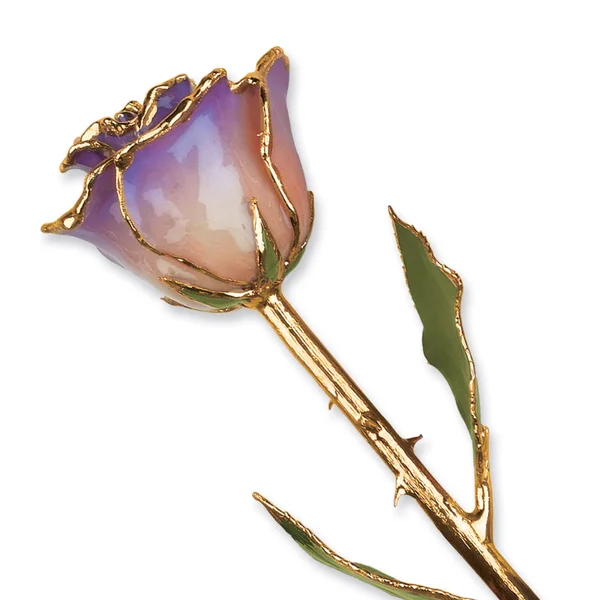 Lacquer Dipped Gold Trim White & Blue Opal Rose