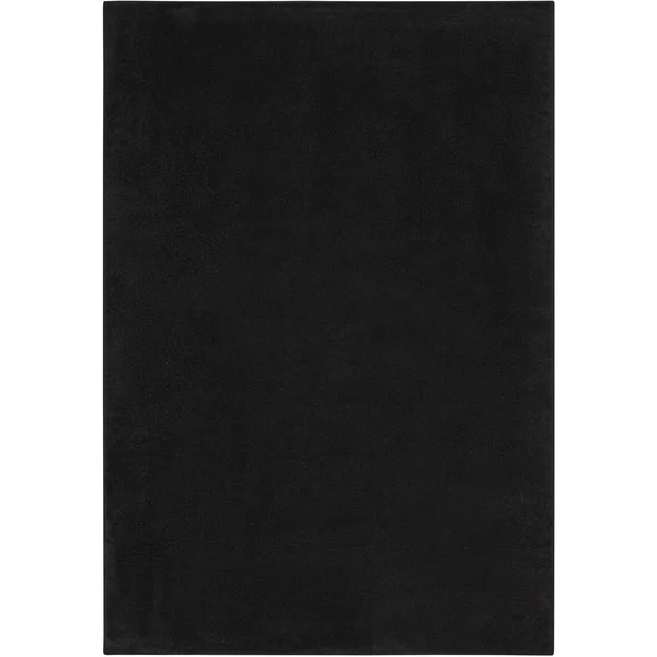 Nourison Essentials Indoor/Outdoor Contemporary Black Area Rug, Size: 4& x 6&