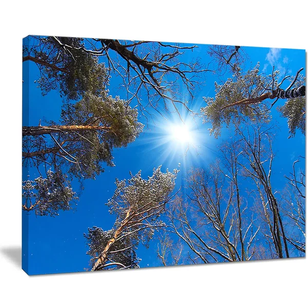 Design Art Bright Sun in The Tree Top Circle - Modern Forest Canvas Wall Art - Blue - 40 in. Wide x 30 in. High