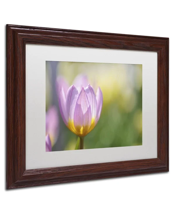 Trademark Fine Art Tulip ?Lilac Wonder& by Cora Niele Framed Photographic Print - Size: 11x22 H x 14x22 W x 0.5x22 D - Frame Colo