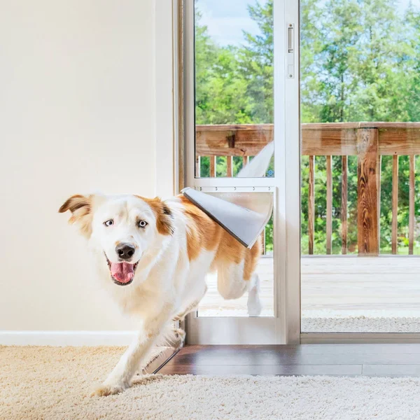 PetSafe Freedom Patio Panel 81x22- Large, White, 11.5" x 91.43"