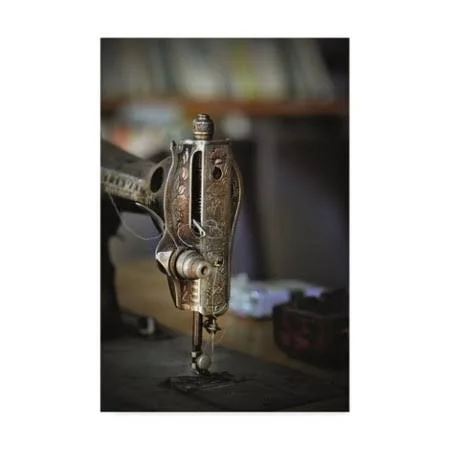 Trademark Fine Art 'Old Machine' Canvas Art by Christine Sainte-Laudy, Size: 22 x 32
