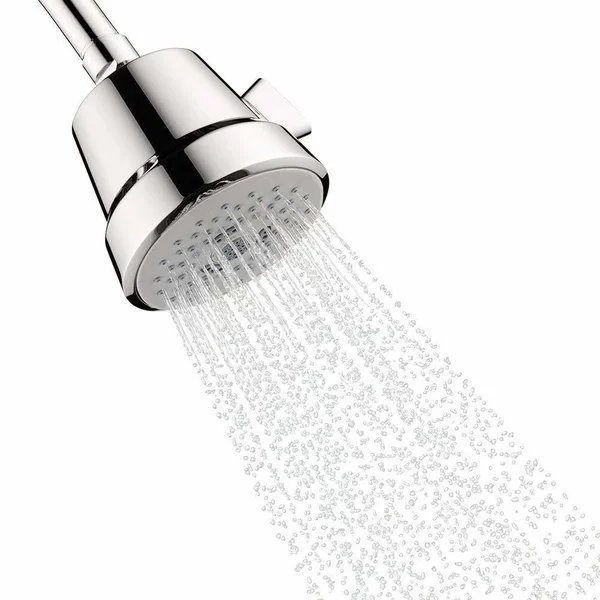Hansgrohe 04500000 Club 100 Chrome Showerhead