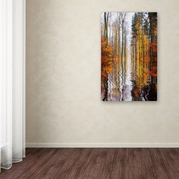 Trademark Global Philippe Sainte-Laudy &Higher Ground& Canvas Art