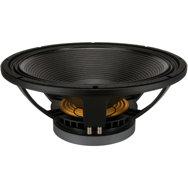 B & C 18x22 Subwoofer (18TBX100)