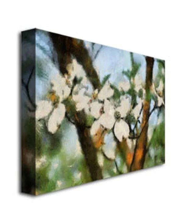 Trademark Fine Art Lois Bryan 'Dogwood Tree' Canvas Art 30x47 Inches