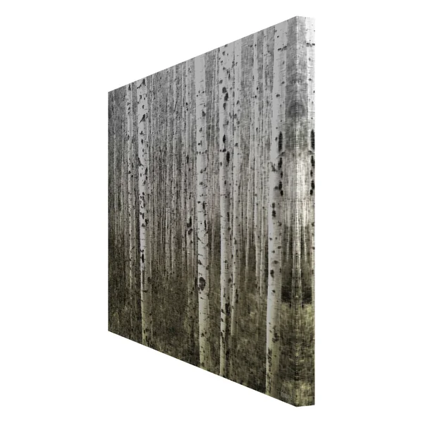 Parvez Taj Aspen Highlands Art Print on Premium Canvas 12 x 18