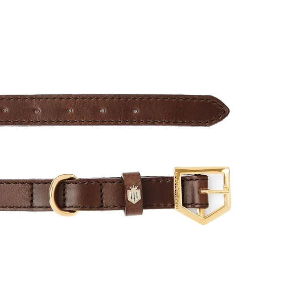 Fitzroy Dog Collar - Mahogany Leather - Medium
