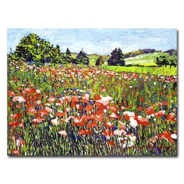 Trademark Art Poppy Fields of France Canvas Wall Art by David Lloyd Glover, Size: 24 x 32