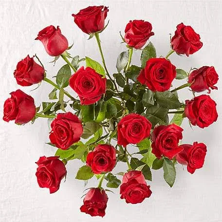 FTD Flower Delivery, Long Stem Red Rose Bouquet, Better, Send Flowers for Birthdays and Graduation at FTD.com, Fast and Same