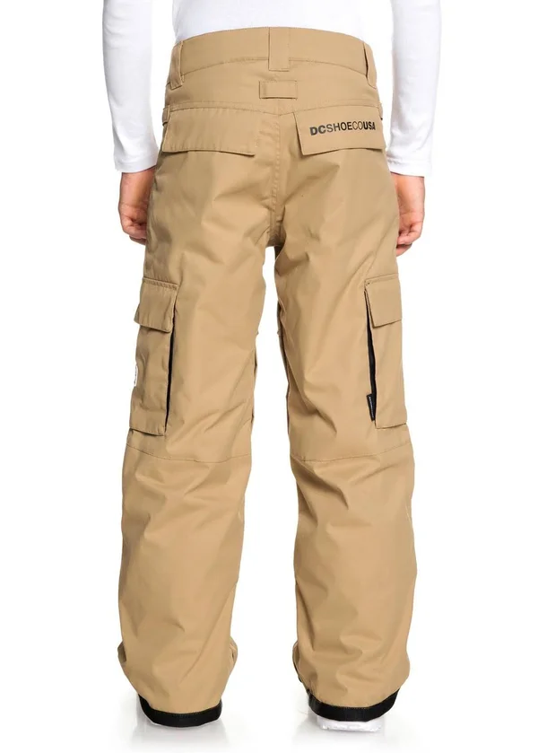 DC Banshee Snowboard Pants
