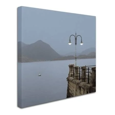 Trademark Art Alan Blaustein 'Lake Vista VI' Canvas Art