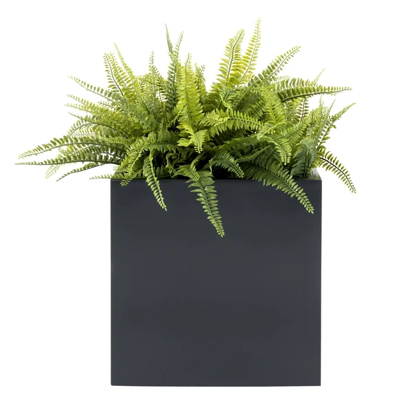 Seeley Cube Planter Modern Indoor Outdoor Square Fiberglass, NMN Designs Med - 14x22L x 14x22W x 14x22H, Gray