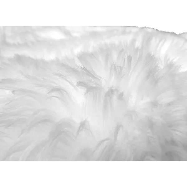 Walk on Me Rugs Llc 8x10 Soft and Plush Faux Sheepskin Shag Area Rug, Size: 8' x 10', Brown