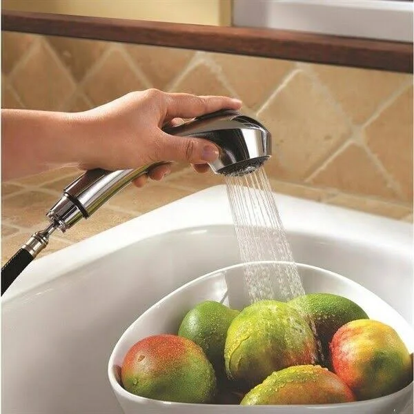 Pfister Shelton Stainless Steel One-Handle Pull-Out Kitchen Faucet