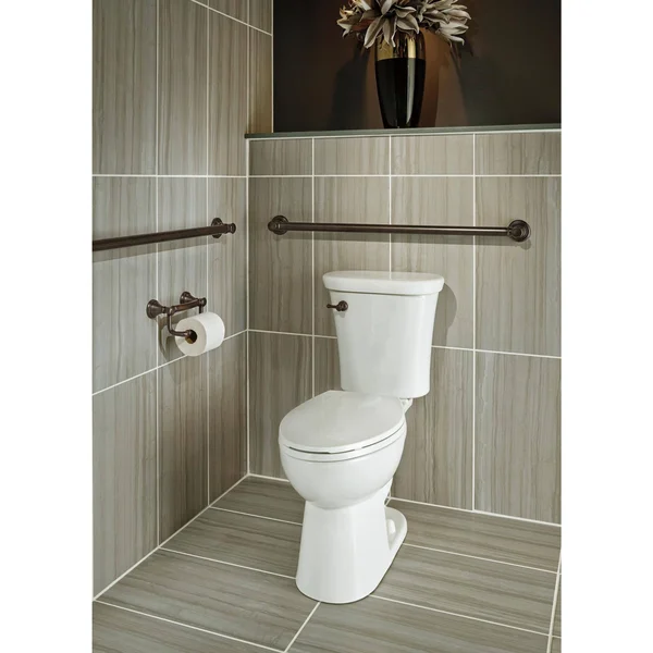 Delta 41350-SS Traditional Tissue Holder-Assist Bar, Stainless