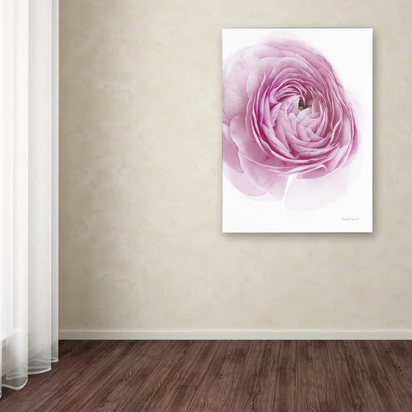 Elizabeth Urquhart 'Pink Lady III' Canvas Art WAP01923-C