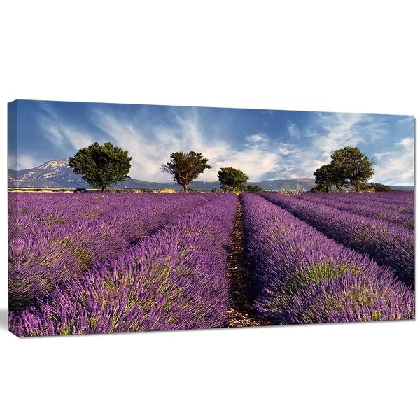 Design Art 'Lavender Field on Windy Afternoon' Photographic Print on Wrapped Canvas, Purple
