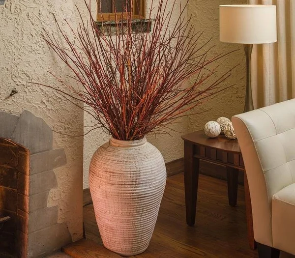 Arctic Fire Dogwood - 3 gal. by PlantingTree