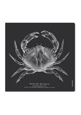 Oliver Gal Black The Red Crab Nautical Canvas