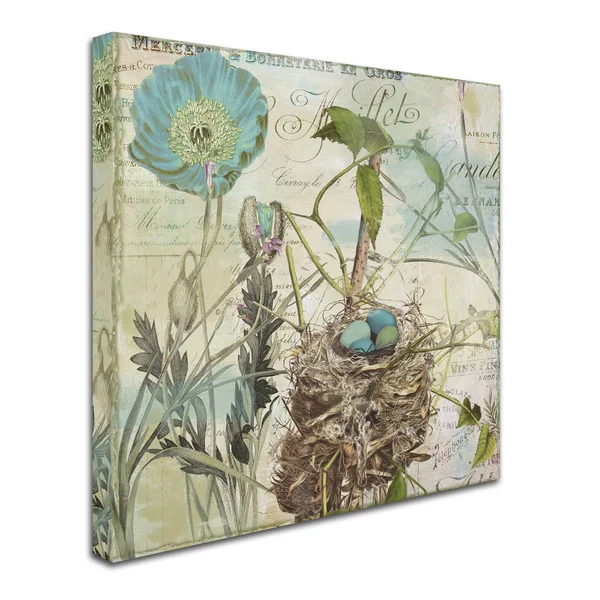 Trademark Fine Art Nesting I Canvas Art by Color Bakery - Size: 24 x 24