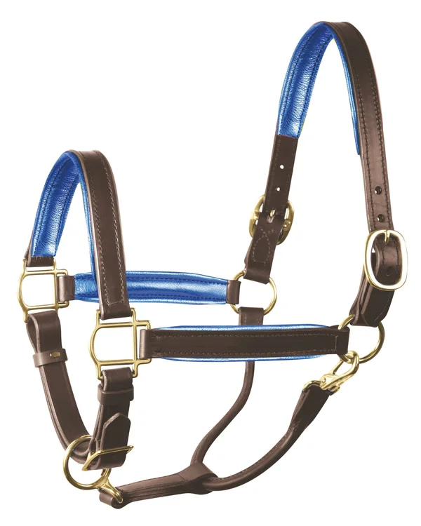 Perri&s 1x22 Padded Leather Halter