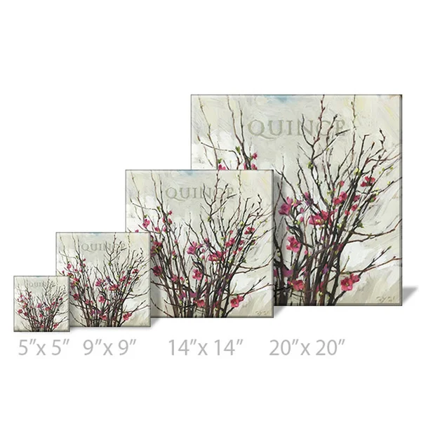 Sullivans Darren Gygi Quince Canvas - Museum Quality Giclee Print, Gallery Wrapped, Handcrafted in USA 14x22W Pink