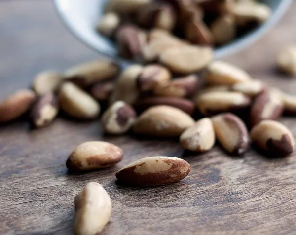 Food to Live Organic Brazil Nuts Raw No Shell 4 Pounds