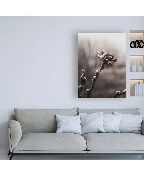 Trademark Fine Art Ic01791-C2432Gg Incado 'Spring Plants' Canvas Art, 2