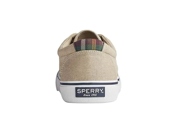 Sperry Men's Striper II CVO Sneaker