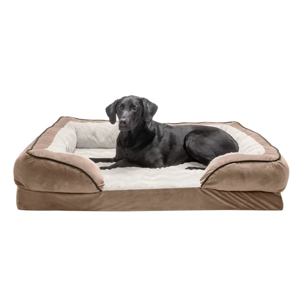 FurHaven Velvet Waves Perfect Comfort Orthopedic Sofa Dog Bed - Jumbo, Brownstone