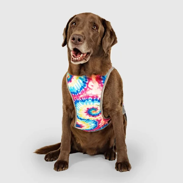 Canada Pooch Chill Seeker Cooling Dog Vest 26 - Rainbow